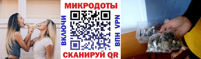 Псилоцибиновые грибы ЛСД  Вилючинск 